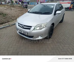 Toyota Axio 2009 Silver