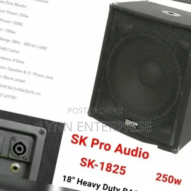 SK Pro Audio 18" Heavy Duty Bass Speaker - 1