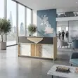 1.8m Executive Reception Desk - Brown - 2