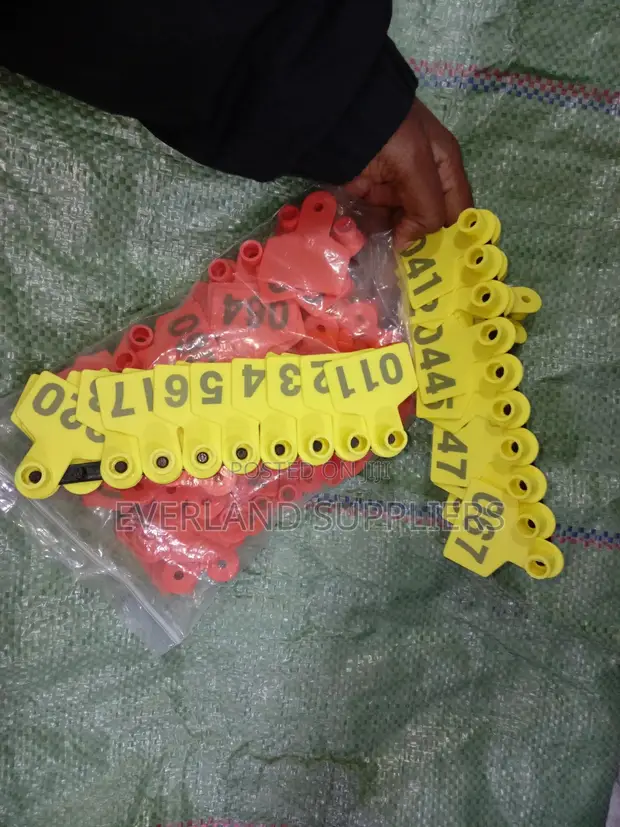 Ear Tags - Identification Set - 1