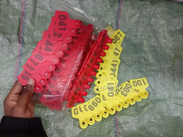 Recognition Ear Tags - 100 PCS - 1