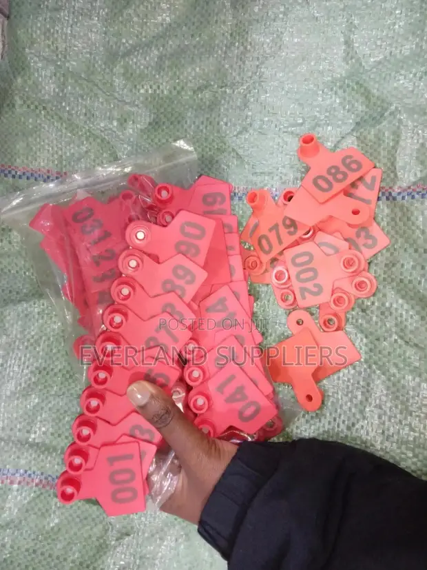 Ear Tags - Easy to Read Set - 1
