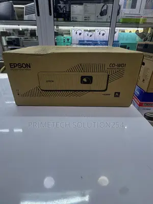 Epson CO-W01 Multimedia Projector