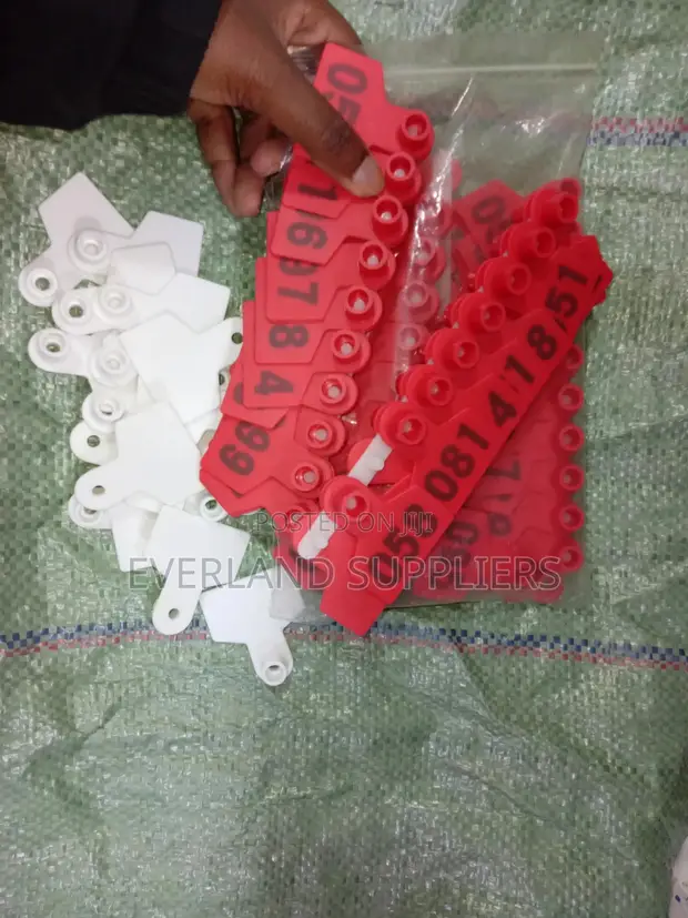Ear Tags - Pack for Organized Herd Management - 1