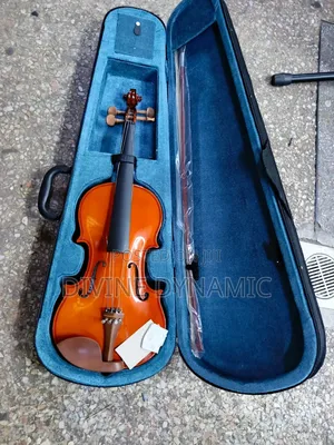 Brand New 4/4 Violin