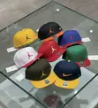 Jordan Pro Brooklyn Structured Cap - 1