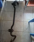 Jeep Grand Cherokee WK2 2011-2015 Front Stabilizer Bar - 1