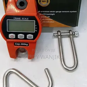 300kg Crane Scale / Hanging Scale Bora
