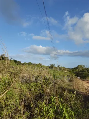 7.5 Acres Land for Sale in Tiwi Magodzoni