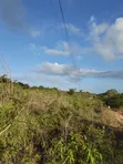 7.5 Acres Land for Sale in Tiwi Magodzoni - 1