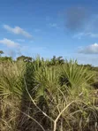7.5 Acres Land for Sale in Tiwi Magodzoni - 3