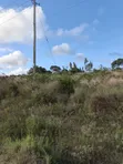 7.5 Acres Land for Sale in Tiwi Magodzoni - 4