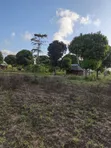 7.5 Acres Land for Sale in Tiwi Magodzoni - 5