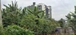 100x100 Ft Plot kwa Uuzaji - Kabete Gathiga, Kiambu - 5