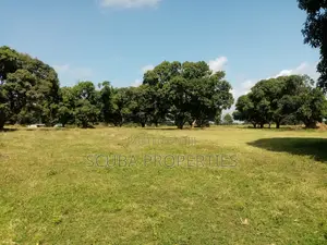 Eighth Acre Plot for Sale in Malindi, Tsavo Road