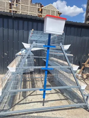 128-Bird Chicken Cages