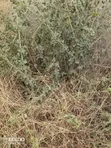 Koma Hills Area 5 Acres for Subdivision - 400m off Kangundo Road - 1