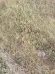 Koma Hills Area 5 Acres for Subdivision - 400m off Kangundo Road - 2