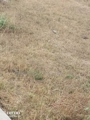 Kamulu Eka Tano Area: 3.5 & 5 Acres for Subdivision