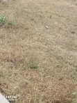 Kamulu Eka Tano Area: 3.5 & 5 Acres for Subdivision - 1