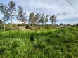 3.125 Acres Prime Land for Sale - Kikuyu Gikambura - 2