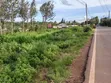 3.125 Acres Prime Land for Sale - Kikuyu Gikambura - 3