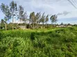3.125 Acres Prime Land for Sale - Kikuyu Gikambura - 4