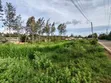 3.125 Acres Prime Land for Sale - Kikuyu Gikambura - 5