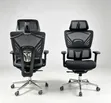 Premium Ergonomic Mesh Office Chair with Adjustable Headrest - 1