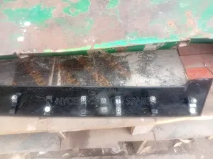 Toyota Noah/Voxy Door Moulding (New Model)