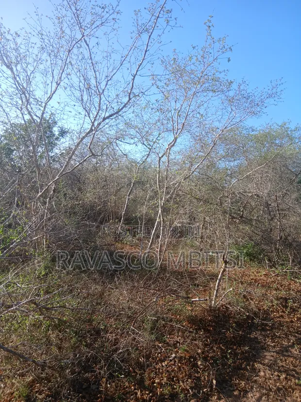 50 Acres for Sale in Malindi Boreshingwaya - 1