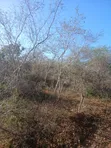 50 Acres for Sale in Malindi Boreshingwaya - 1