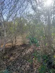50 Acres for Sale in Malindi Boreshingwaya - 2
