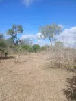 50 Acres for Sale in Malindi Boreshingwaya - 3
