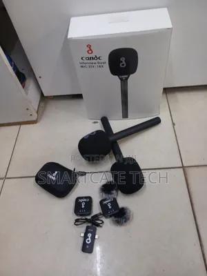 CANDC Wireless Interview Microphone - 2 Mics, 1 Receiver