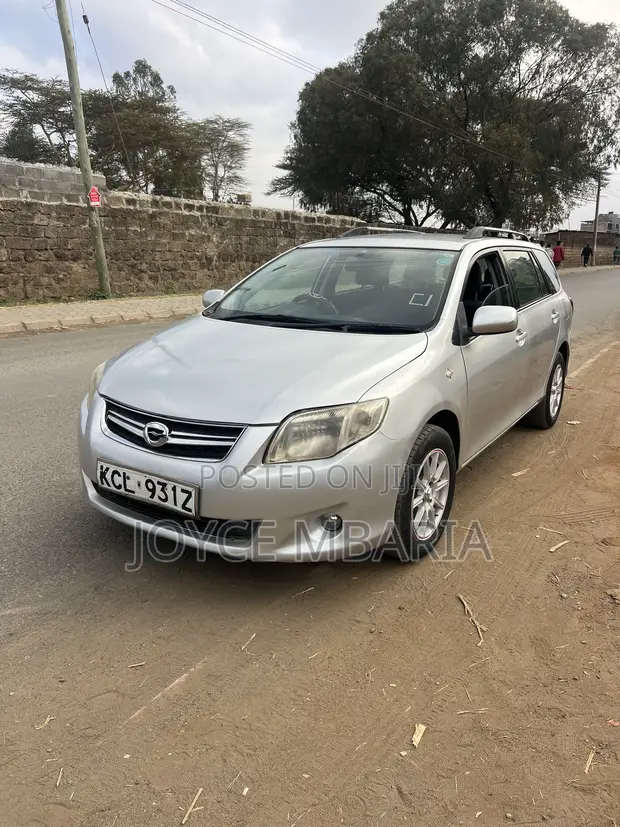 Toyota Corolla Fielder 2010 Silver - 1