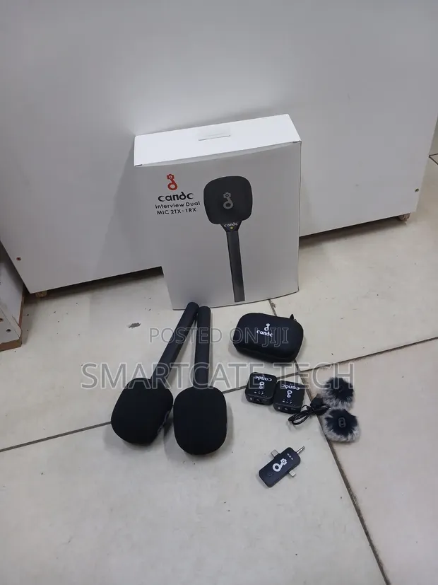 CANDC Portable Dual Wireless Microphone System - 1