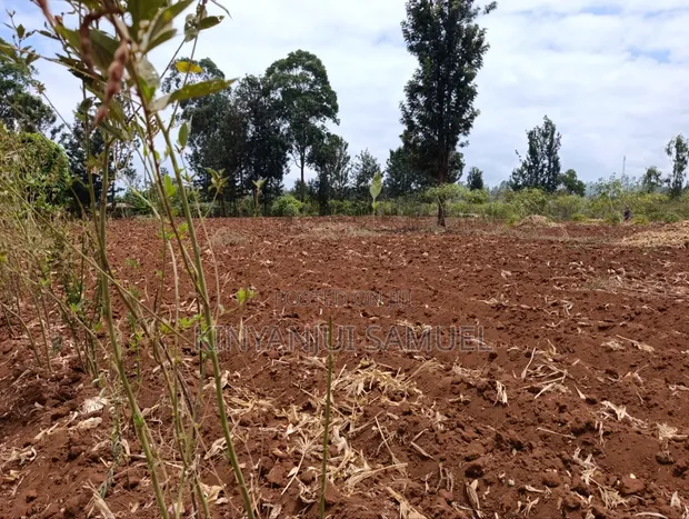 One Acre Land for Sale in Makuyu, Ciumbu Market - 1