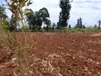 One Acre Land for Sale in Makuyu, Ciumbu Market - 1