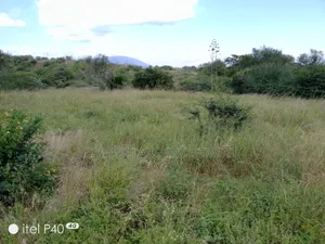 1.2 Acre Land for Sale in Gatuanyaga