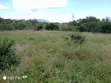 1.2 Acre Land for Sale in Gatuanyaga - 1