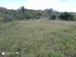 1.2 Acre Land for Sale in Gatuanyaga - 4