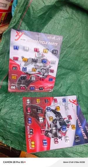 4pcs Assorted Metallic Standard Tire Valves