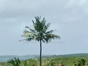2 Acres Beachfront Land Mida Creek Watamu