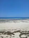 2 Acres Beachfront Land Mida Creek Watamu - 3