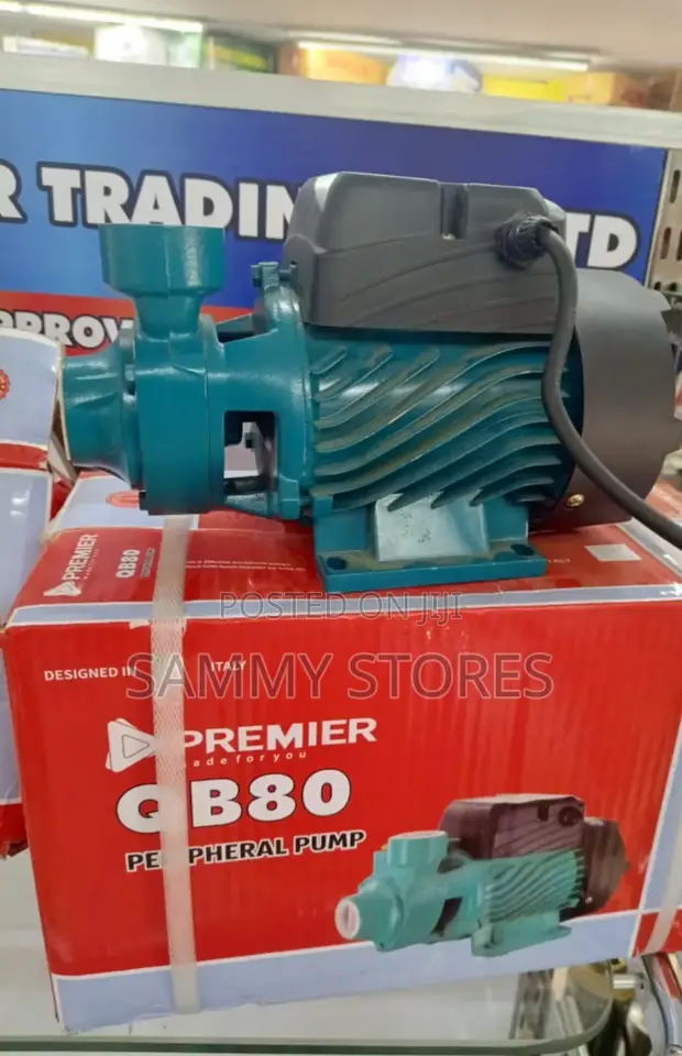 Premier QB80 Home Water Pump - 1