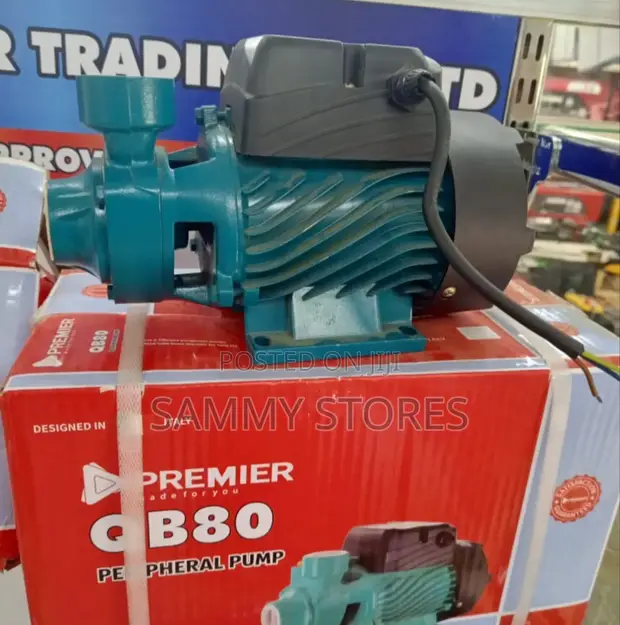 Premier QB80 High-Performance Water Pump - 1