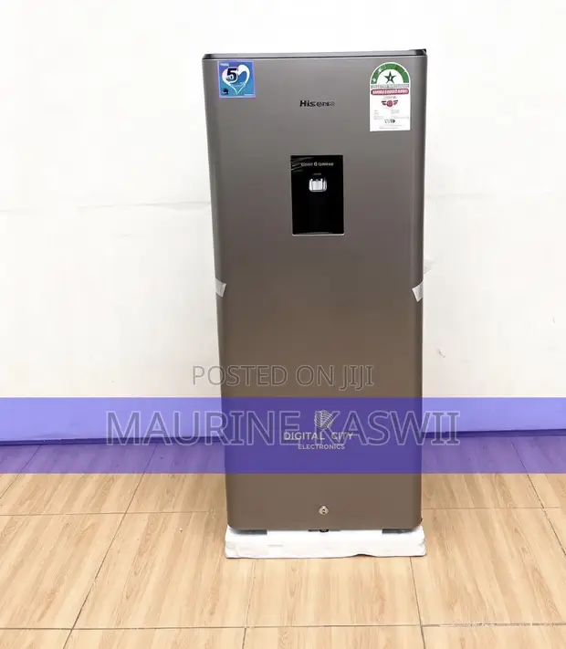 Hisense 176L Frost Fridge with Water Dispenser - 1