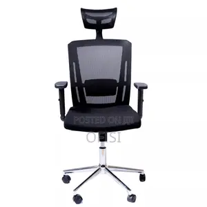 Ergonomic Office Chair with Adjustment Knob