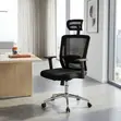 Ergonomic Office Chair with Adjustment Knob - 2